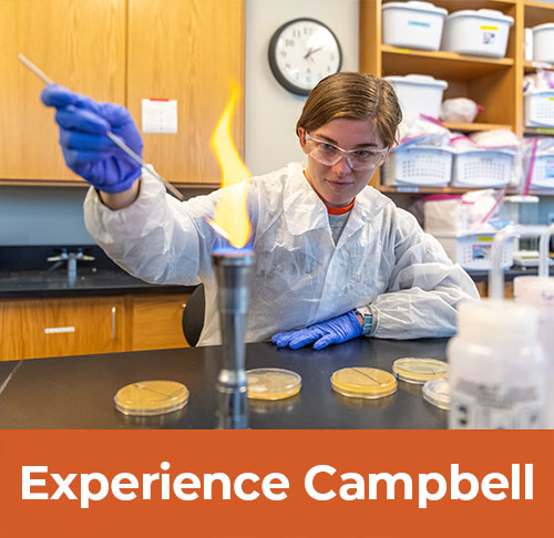 experience Campbell