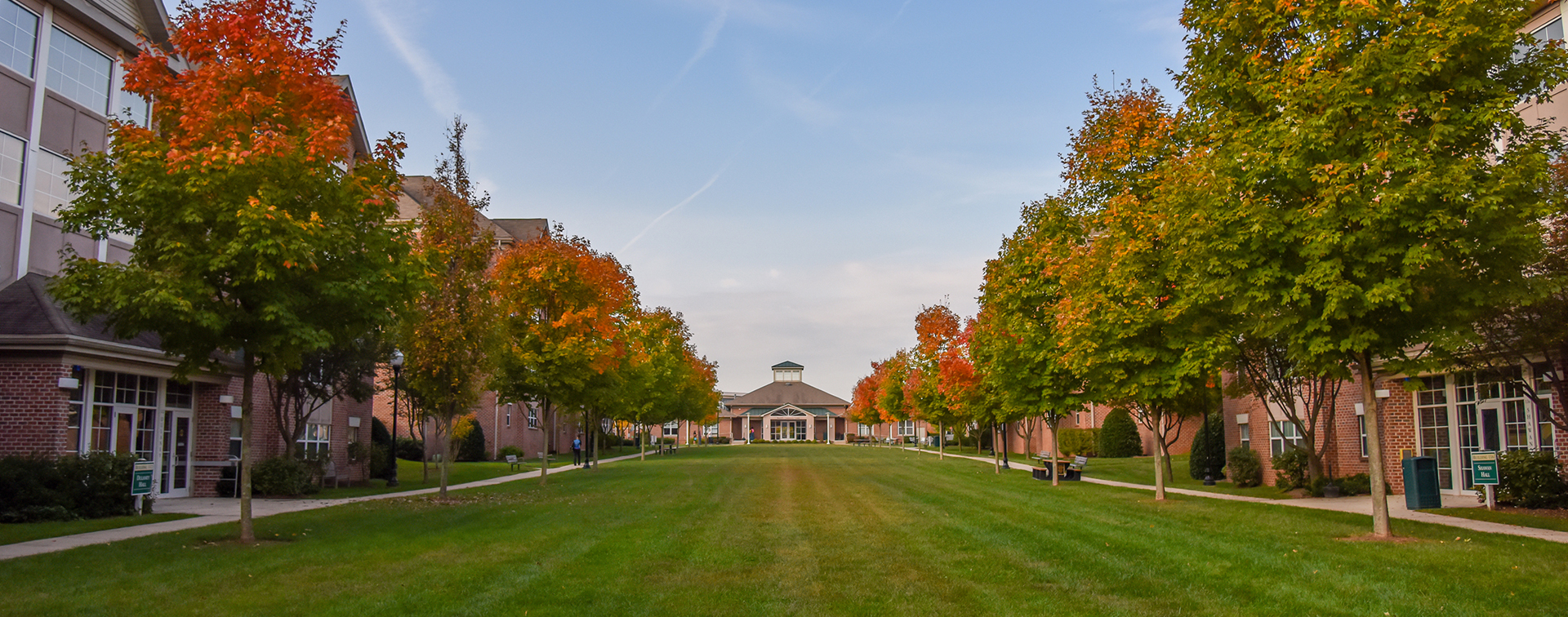 Stevenson University Catalogs