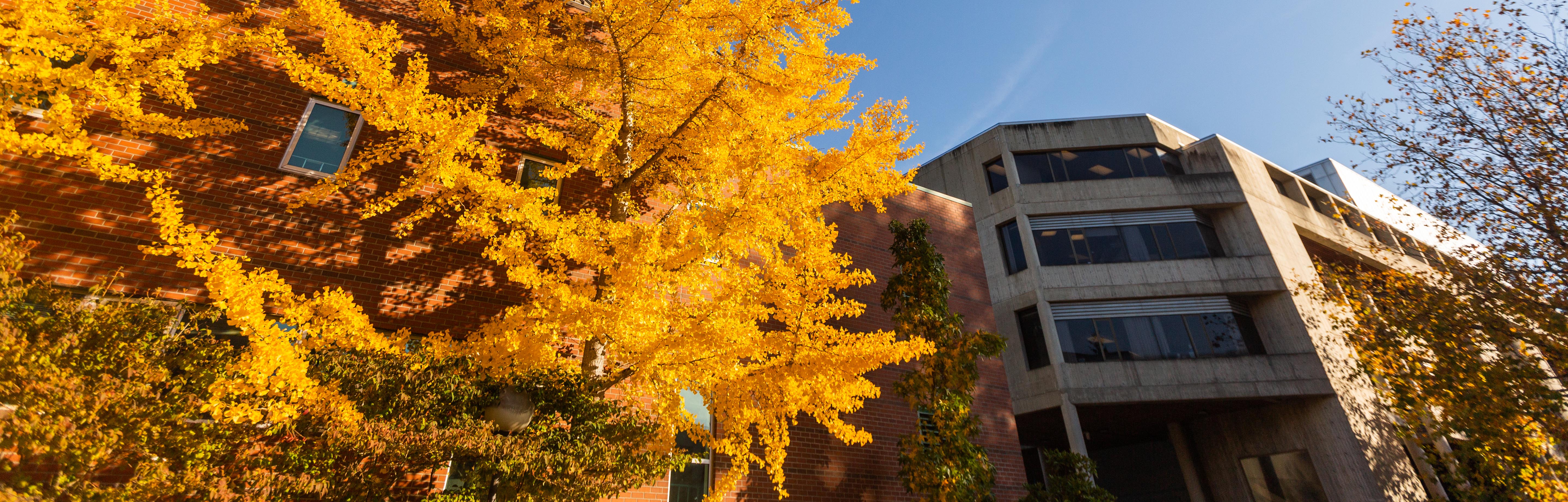 Archived Catalogs - Western Washington University - Acalog Acms™